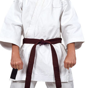 Brown Belt in Karate: History and Significance - Get One Now!